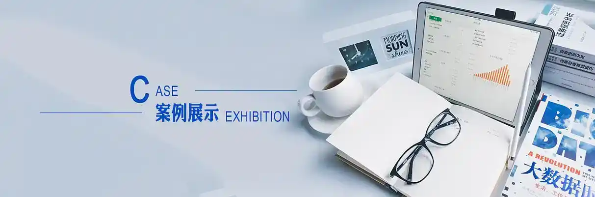 铜陵县软件开发